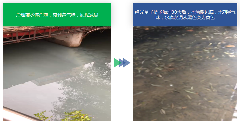 微信截圖_20201231115158.png